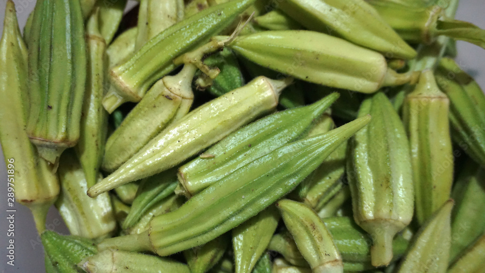 To pull off the okra plant, fresh okra plant, okra plant planted in the garden, natural okra plant, To pull off the okra plant, fresh okra plant, okra plant planted in the garden, natural okra plant,
