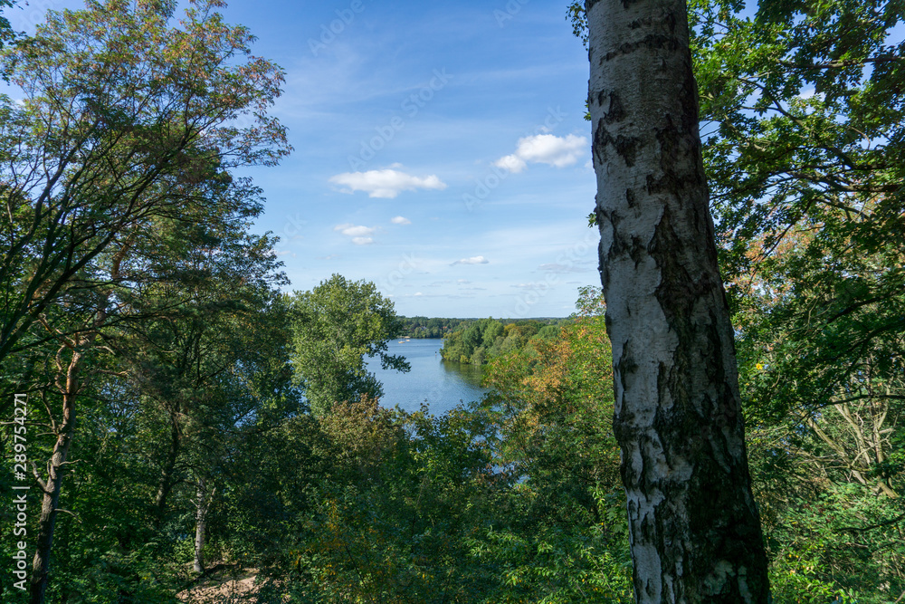 Fototapeta premium Idyllic view of Grunewald, Havelhöhenweg, Berlin, Germany on a sunny day