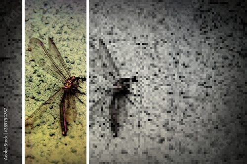 Pixelated Vibrant Dragonfly 