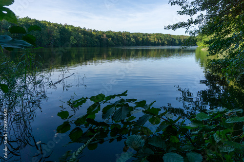 Idyllic view of Grunewald, Havelhöhenweg, Berlin, Germany on a sunny day photo