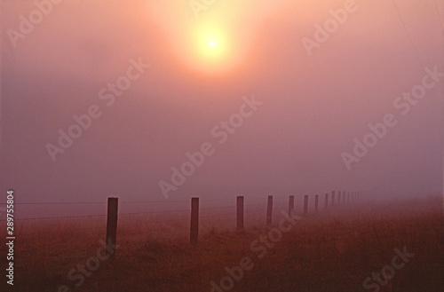 Paddock fence disappearing into the foggy sunrise. Australia.