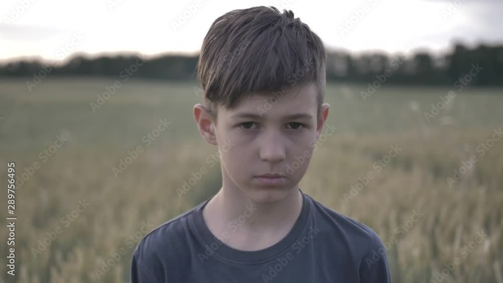 portrait of offended sad boy in a wheat field looking at the camera at sunset portrait of offended sad boy in a wheat field looking at the camera at sunset