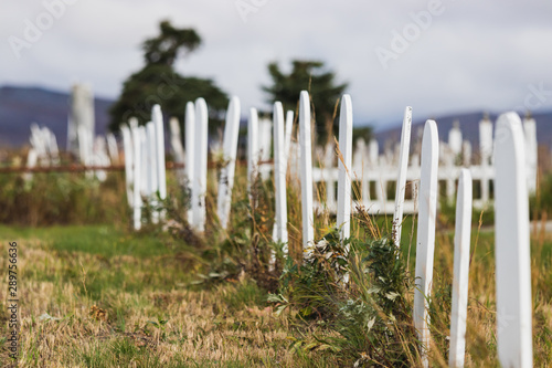 Fototapeta Naklejka Na Ścianę i Meble -  Wooden white grave markers in the Nome Cemetery, Alaska.