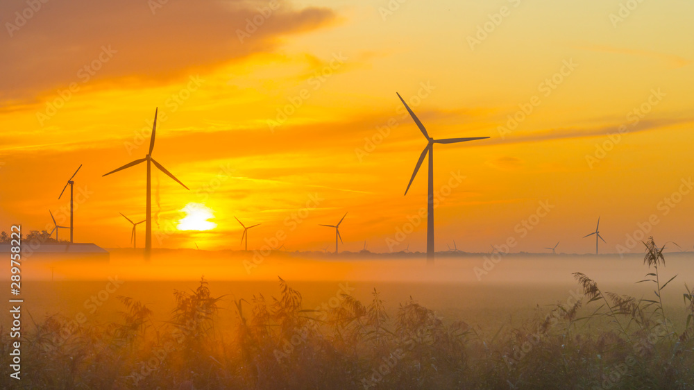 Sun shines on wind turbines in a foggy field at sunrise in summer Sun shines on wind turbines in a foggy field at sunrise in summer