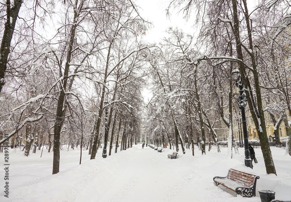 Snow covered city boulevard