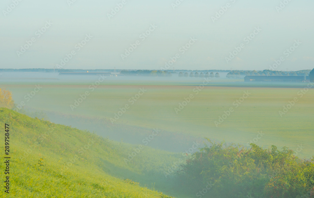 Green dike in a foggy landscape below a blue sky at sunrise in summer