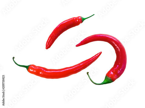 Fotografie, Obraz red chilli in white background