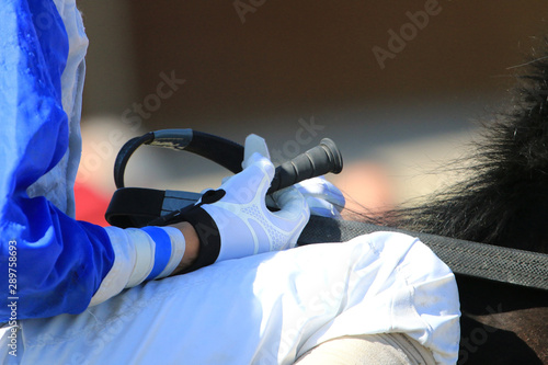Horse racing at the track details