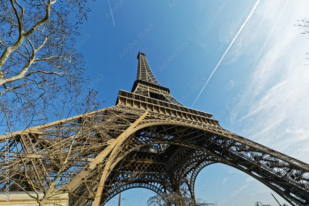 Paris, France - Eiffel tower made of iron - obrazy, fototapety, plakaty 