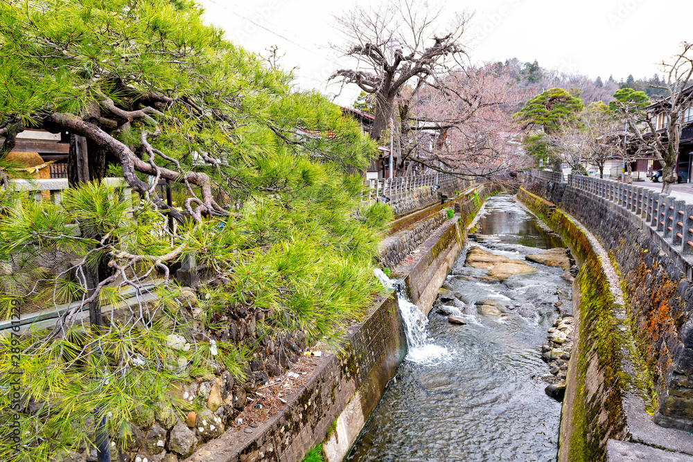 Enako river canal with water flowing with cedar pine trees growing on banks in historic ancient traditional town or village of Takayama, Japan in Gifu prefecture in early spring Enako river canal with water flowing with cedar pine trees growing on banks in historic ancient traditional town or village of Takayama, Japan in Gifu prefecture in early spring