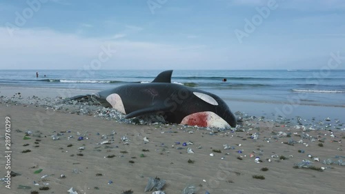Killer Whale Dead by Ocean Pollution