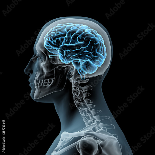 Sideview of Man with Skull and Glowing Brain