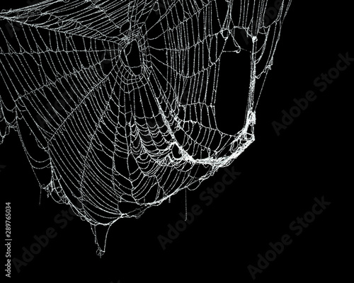 Fototapeta Naklejka Na Ścianę i Meble -  Real frost covered spider web isolated on black