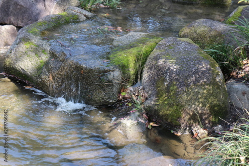 水辺の風景