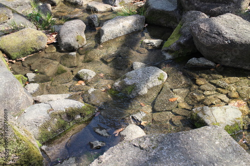 水辺の風景