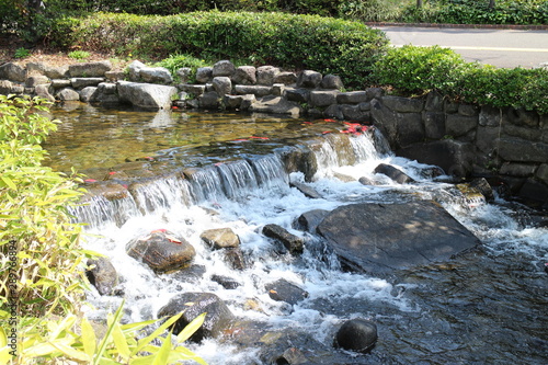 水辺の風景