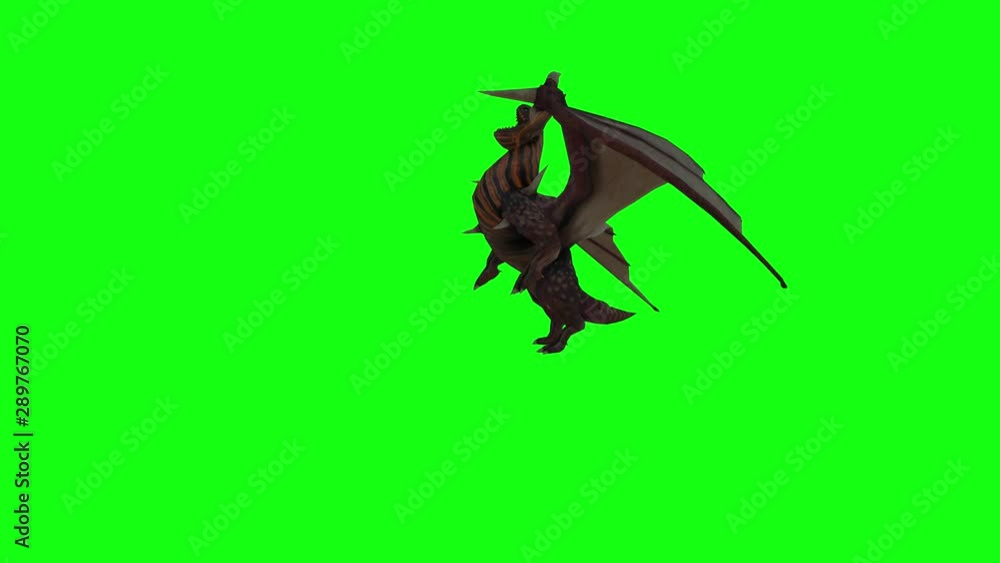 Dragon Composite Roar Dragon Composite Roar