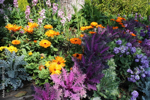 屋上庭園の花