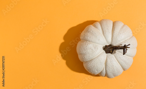 A autumn pumpkin on a orange background photo