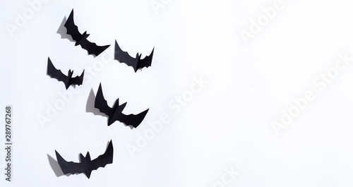 Halloween paper bats overhead view on a solid color