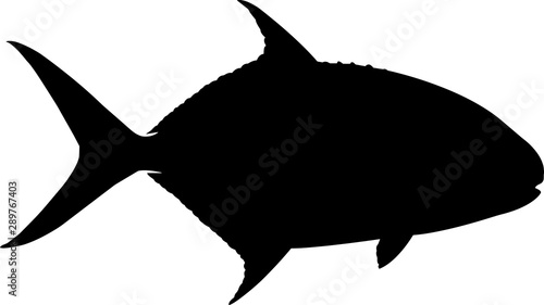 Pompano Fish Silhouette Vector