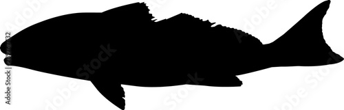 Redfish Fish Silhouette Vector