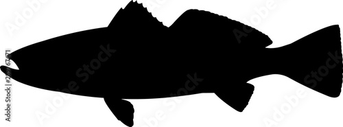 Spotted Seatrout Fish Silhouette Vector