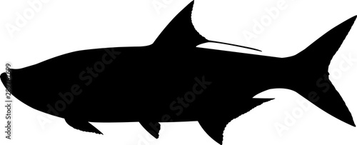 Tarpon Fish Silhouette Vector photo