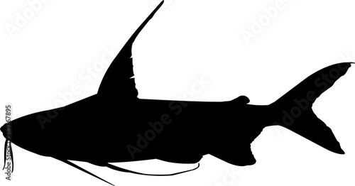 Gafftopsail Catfish Fish Silhouette Vector