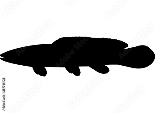 Bowfin Fish Silhouette Vector