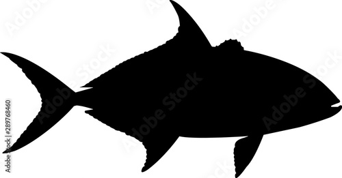 Almaco Jack Fish Silhouette Vector