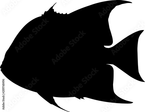 Atlantic Spadefish Fish Silhouette Vector