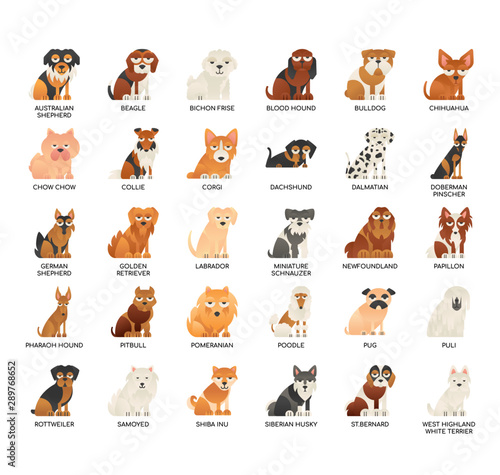 Breed Dogs 1 , Thin Line and Pixel Perfect Icons