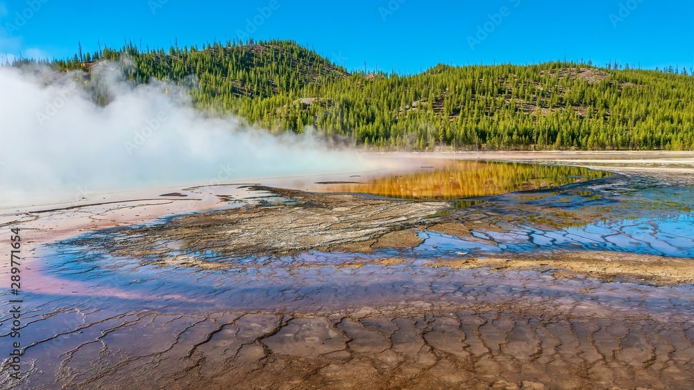 The area surrounding Grand Prismatic Spring, as thick steam rises from the famous hot spring in the Midway Geyser Basin at Yellowstone.