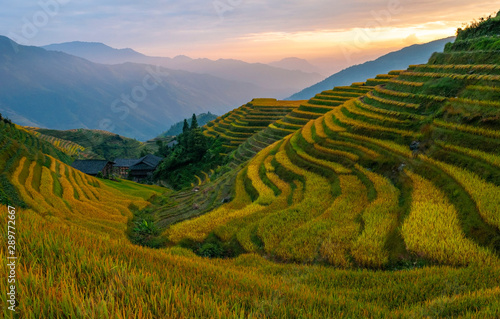 Sunset in the rice terraces of Ping An village, Longheng county, Guangxi Province, China. photo