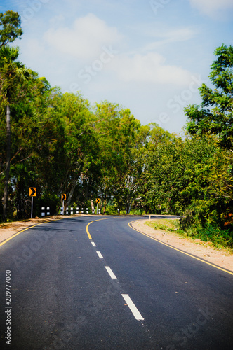 A curvy country road passing through forest