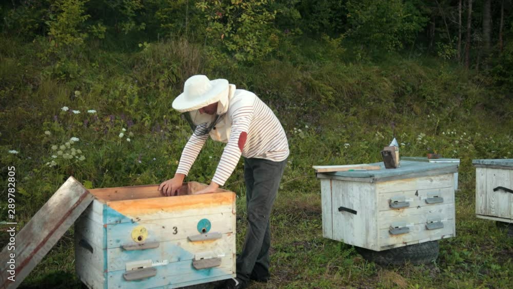 beekeeper stands near the hives holding bee frame in which there is a honeycomb beekeeper stands near the hives holding bee frame in which there is a honeycomb
