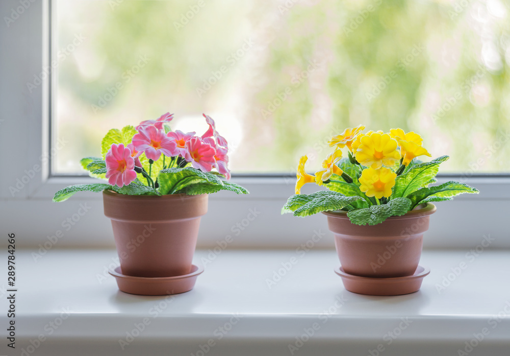 Two ceramic flower pots with pink and yellow primrose flowers