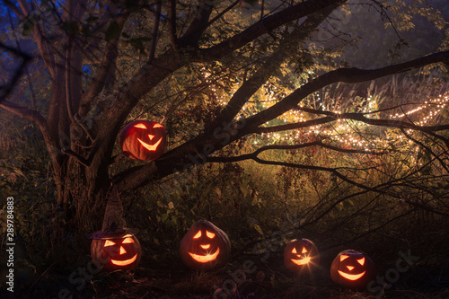 Halloween pumpkins in night forest © Maya Kruchancova