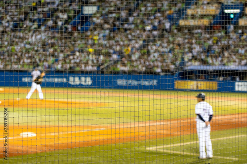 Safety Net And Blurred Baseball Game.