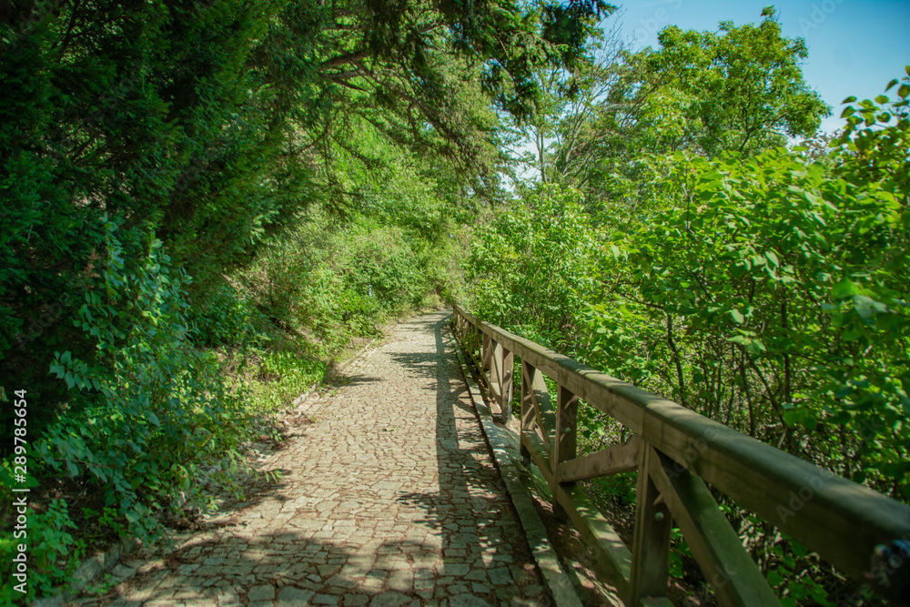 Gravel path in summer park on a hill fenced with wooden railing for safety