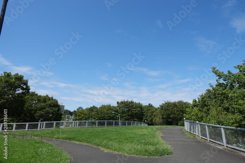 Wallpaper Mural 樹木の公園 Torontodigital.ca