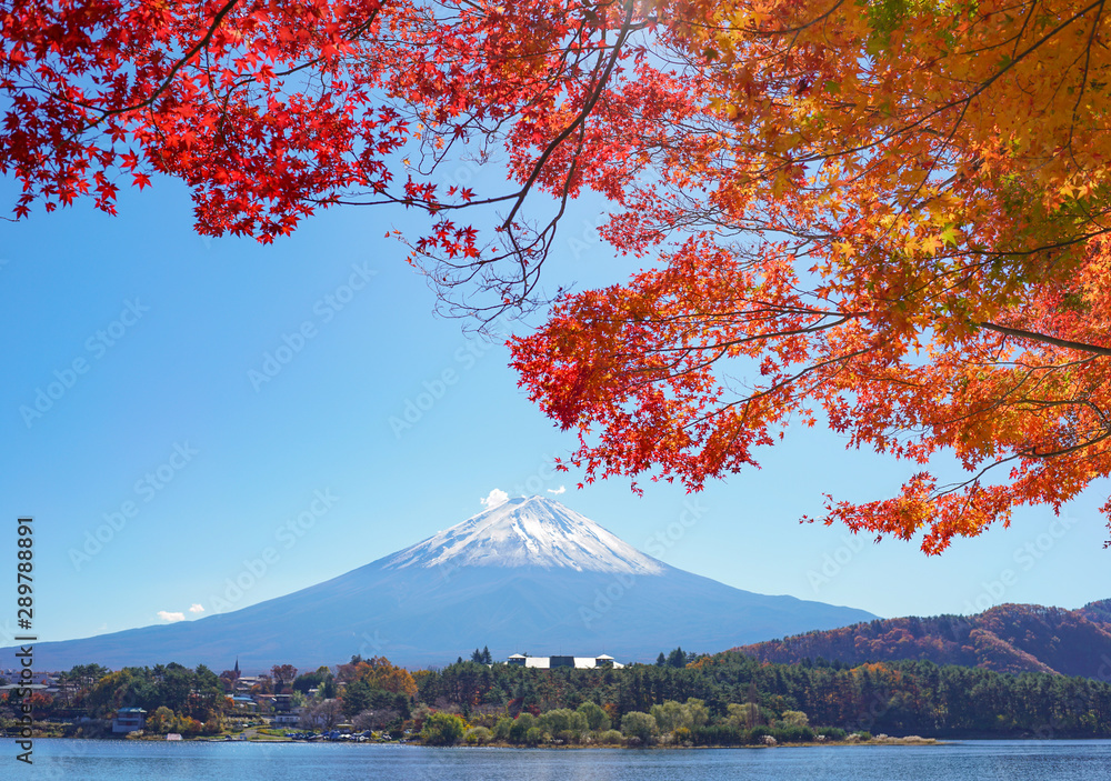 Mount fuji in autumn at Kawaguchiko lake in Japan