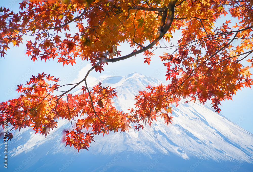 Colorful autumn with red leaves and Mountain Fuji at Kawaguchiko lake in Japan Colorful autumn with red leaves and Mountain Fuji at Kawaguchiko lake in Japan
