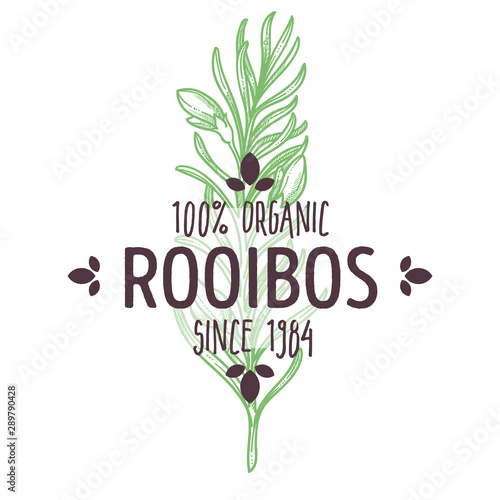 Herbal tea plant, African rooibos branch, isolated icon with lettering