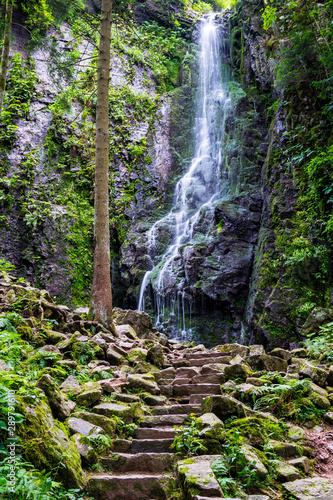 Obraz na płótnie Germany, Stone steps to magic black forest waterfall called burgbachwasserfall in green paradise like scenery in untouched nature landscape w salonie