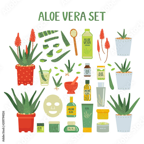 Big set of aloe vera products. Potted plants, cosmetic and medical products. Collection isolated on white background. Vector illustration in freehand drawing style