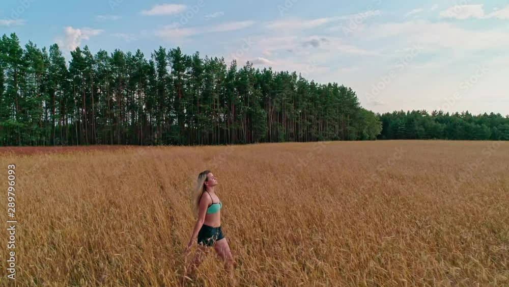 Blonde young woman on a bikini walking through the fields. Dolly right, Long Shot, Wide Shot Blonde young woman on a bikini walking through the fields. Dolly right, Long Shot, Wide Shot