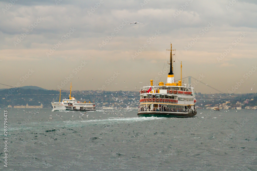 ferry surrounded by seagulls on Bosphorus waterway in Istanbul on the sunset.