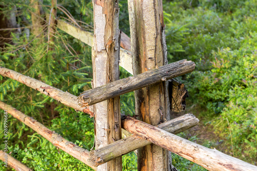 Wooden fence in the forest. Close up. Abstract natural background.